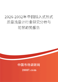 2026-2032年中国插入式热式质量流量计行业研究分析与前景趋势报告 2026-2032年中国插入式热式质量流量计行业研究分析与前景趋势报告