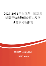 2025-2031年全球与中国封堵球囊导管市场调查研究及行业前景分析报告