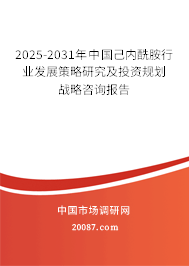 2025-2031年中国己内酰胺行业发展策略研究及投资规划战略咨询报告