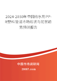2024-2030年中国给水用PP-R塑料管道市场现状与前景趋势预测报告