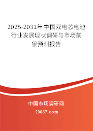 2025-2031年中国双电芯电池行业发展现状调研与市场前景预测报告