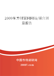 2009东方财富网网站/媒介测量报告