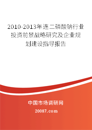 2010-2013年连二磷酸钠行业投资前景战略研究及企业规划建设指导报告 2010-2013年连二磷酸钠行业投资前景战略研究及企业规划建设指导报告
