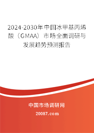2024-2030年中国冰甲基丙烯酸（GMAA）市场全面调研与发展趋势预测报告