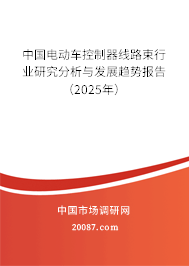 中国电动车控制器线路束行业研究分析与发展趋势报告(2025年) 中国电动车控制器线路束行业研究分析与发展趋势报告(2025年)