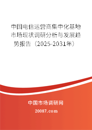 中国电信运营商集中化基地市场现状调研分析与发展趋势报告（2025-2031年）