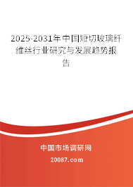 2025-2031年中国短切玻璃纤维丝行业研究与发展趋势报告 2025-2031年中国短切玻璃纤维丝行业研究与发展趋势报告