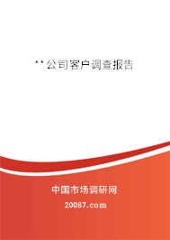 **公司客户调查报告