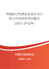 中国聚己内酰胺发展现状分析与前景趋势预测报告（2025-2031年）
