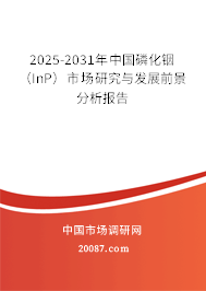 2025-2031年中国磷化铟（InP）市场研究与发展前景分析报告