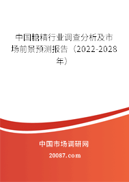 中国糖精行业调查分析及市场前景预测报告（2022-2028年）