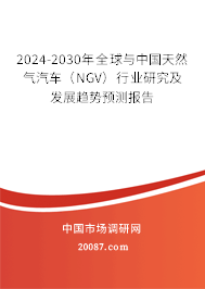 2024-2030年全球与中国天然气汽车（NGV）行业研究及发展趋势预测报告
