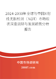 2024-2030年全球与中国X射线无损检测（NDT）市场现状深度调研与发展趋势分析报告