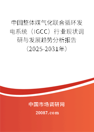 中国整体煤气化联合循环发电系统(IGCC)行业现状调研与发展趋势分析报告(2025-2031年) 中国整体煤气化联合循环发电系统(IGCC)行业现状调研与发展趋势分析报告(2025-2031年)