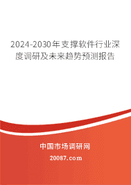 2023-2029年支撑软件行业深度调研及未来趋势预测报告 2023-2029年支撑软件行业深度调研及未来趋势预测报告