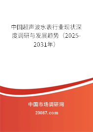 中国超声波水表行业现状深度调研与发展趋势（2025-2031年）