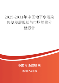 2025-2031年中国地下水污染修复发展现状与市场前景分析报告