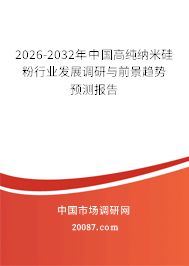 2026-2032年中国高纯纳米硅粉行业发展调研与前景趋势预测报告 2026-2032年中国高纯纳米硅粉行业发展调研与前景趋势预测报告