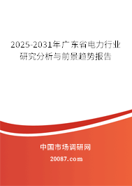2025-2031年广东省电力行业研究分析与前景趋势报告