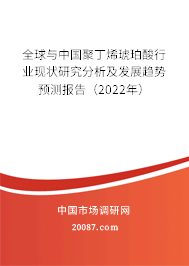 全球与中国聚丁烯琥珀酸行业现状研究分析及发展趋势预测报告(2022年) 全球与中国聚丁烯琥珀酸行业现状研究分析及发展趋势预测报告(2022年)