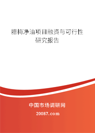腊梅净油项目融资与可行性研究报告