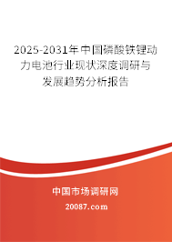 2025-2031年中国磷酸铁锂动力电池行业现状深度调研与发展趋势分析报告