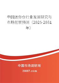 中国迷你仓行业发展研究与市场前景预测（2025-2031年）