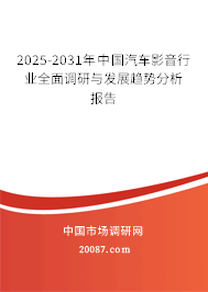 2025-2031年中国汽车影音行业全面调研与发展趋势分析报告