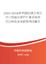 2025-2031年中国全铁大帽沿开口型抽芯铆钉行业调查研究分析及未来趋势预测报告