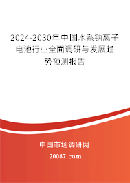 2024-2030年中国水系钠离子电池行业全面调研与发展趋势预测报告