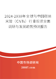 2024-2030年全球与中国碳纳米管（CNTs）行业现状全面调研与发展趋势预测报告