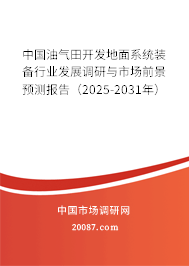 中国油气田开发地面系统装备行业发展调研与市场前景预测报告（2025-2031年）