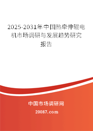 2025-2031年中国热牵伸辊电机市场调研与发展趋势研究报告