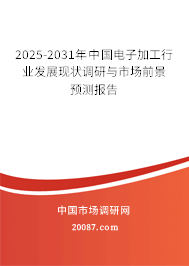 2025-2031年中国电子加工行业发展现状调研与市场前景预测报告