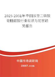 2025-2031年中国尿苷二磷酸葡糖醛酸行业现状与前景趋势报告 2025-2031年中国尿苷二磷酸葡糖醛酸行业现状与前景趋势报告