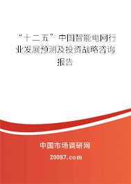 “十二五”中国智能电网行业发展预测及投资战略咨询报告