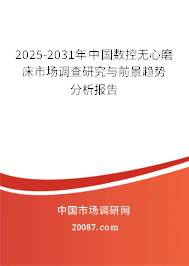 2025-2031年中国数控无心磨床市场调查研究与前景趋势分析报告