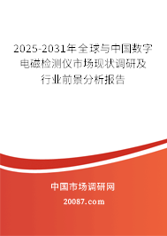 2025-2031年全球与中国数字电磁检测仪市场现状调研及行业前景分析报告