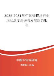 2025-2031年中国微模块行业现状深度调研与发展趋势报告