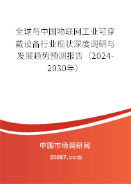全球与中国物联网工业可穿戴设备行业现状深度调研与发展趋势预测报告（2024-2030年）