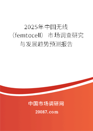 2025年中国无线（femtocell）市场调查研究与发展趋势预测报告