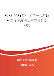 2025-2031年中国下一代互联网建设发展现状与前景分析报告