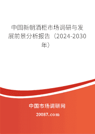 й³ƹг뷢չǰ棨2023-2029꣩