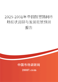2025-2031年中国智慧路网市场现状调研与发展前景预测报告