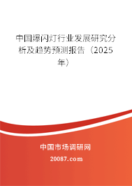 中国爆闪灯行业发展研究分析及趋势预测报告(2025年) 中国爆闪灯行业发展研究分析及趋势预测报告(2025年)