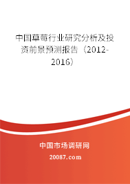 中国草莓行业研究分析及投资前景预测报告（2012-2016）