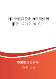 中国小额贷款市场调研分析报告（2012-2016）
