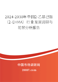 2024-2030年中国2-乙基己酯(2-EHMA)行业发展调研与前景分析报告 2024-2030年中国2-乙基己酯(2-EHMA)行业发展调研与前景分析报告