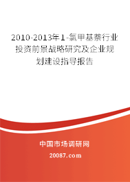 2010-2013年1-氯甲基萘行业投资前景战略研究及企业规划建设指导报告