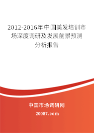 2012-2016年中国美发培训市场深度调研及发展前景预测分析报告 2012-2016年中国美发培训市场深度调研及发展前景预测分析报告